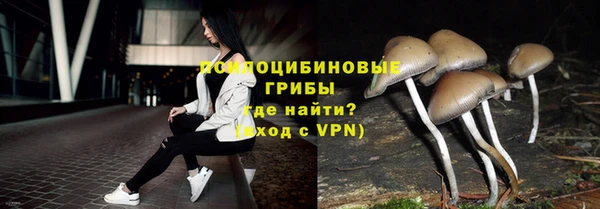 скорость mdpv Белокуриха