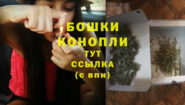 амф Белоозёрский